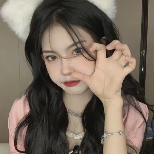 船上的猫